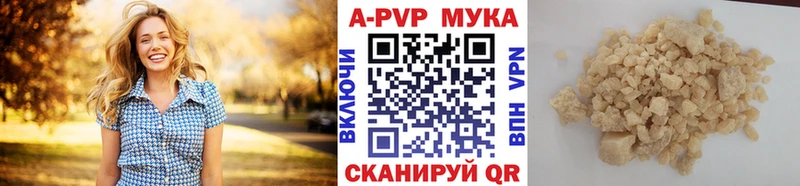 купить   Донской  A PVP крисы CK 