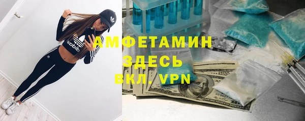 индика Волосово