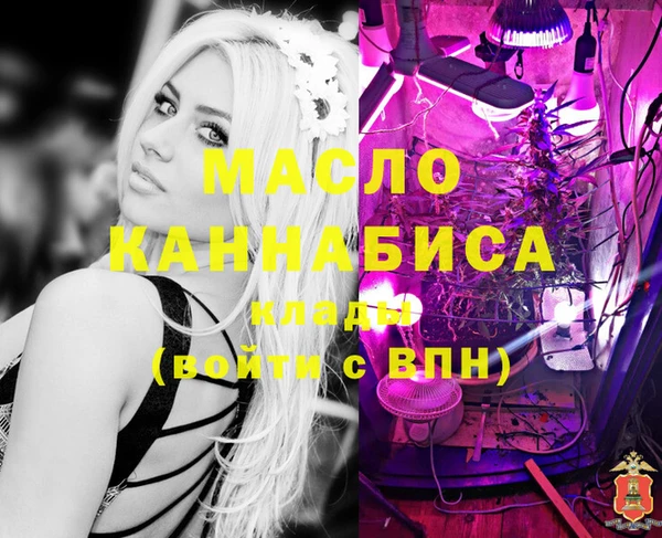 индика Волосово