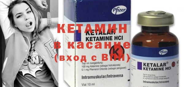 индика Волосово