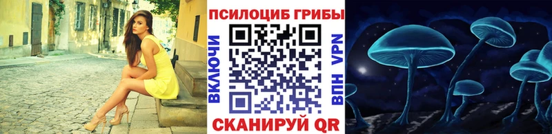 мега ССЫЛКА  Донской  Псилоцибиновые грибы прущие грибы 